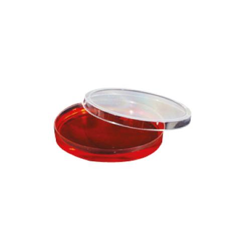 Caja Petri