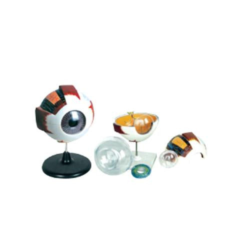 Ojo gigante. CVQ7033