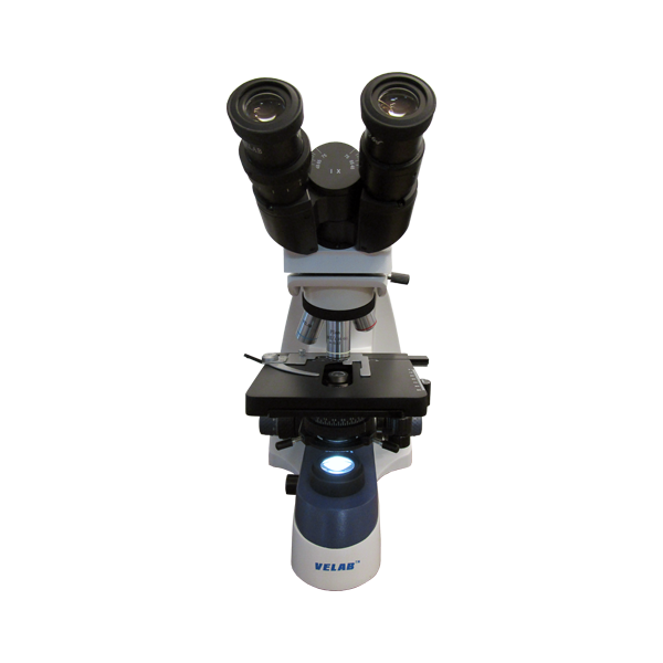 Microscopio Binocular. VE-B2 PLUS PLAN.
