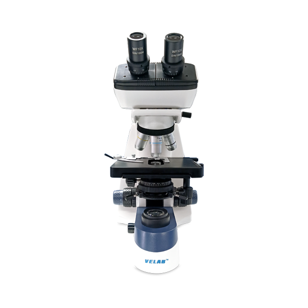 Microscopio binocular intermedio. VE-B3P