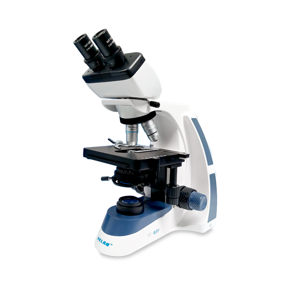 Microscopio binocular intermedio. VE-B3P