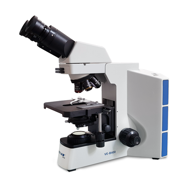 Microscopio Binocular biológico. VE-B400