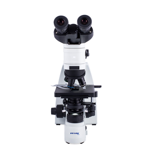 Microscopio de epifluorescencia. VE-F300