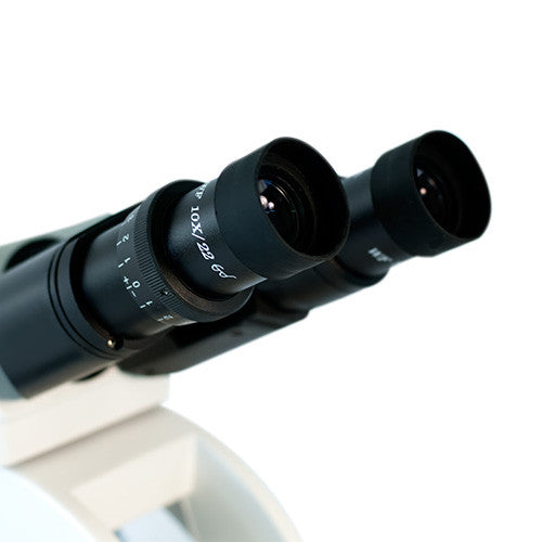 Ocular Estereoscópico