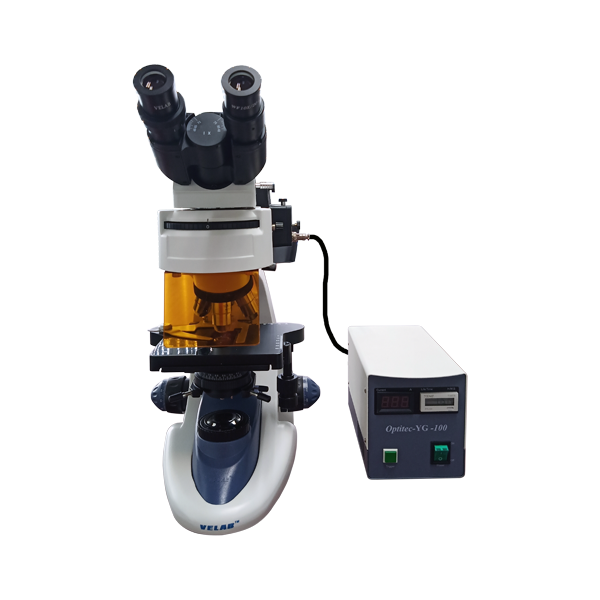 Microscopio de Epifluorescencia. VE-146YT