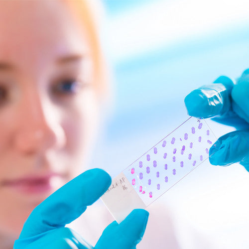Histología