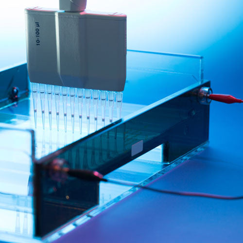 Electroforesis y relacionados
