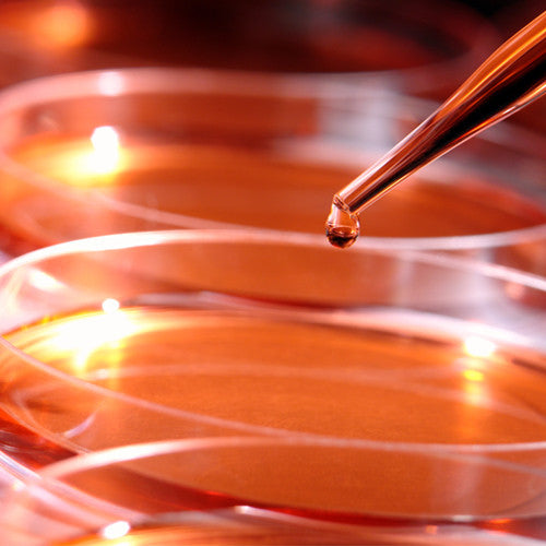 Microbiología