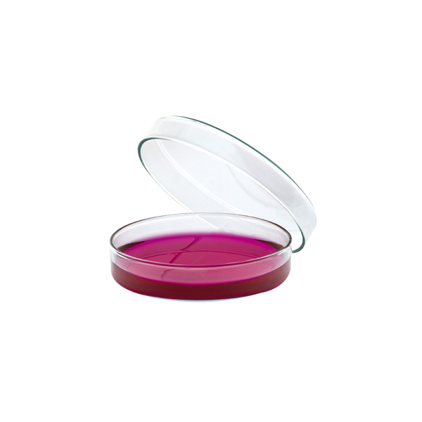081.01 Caja Petri de vidrio. Marca Isolab
