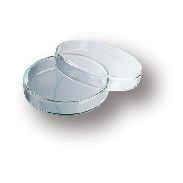 Caja Petri. 3160-60