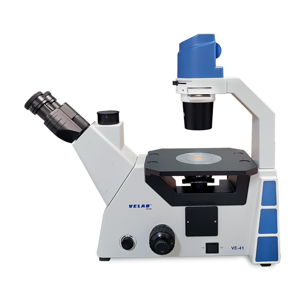 Microscopio Triocular Invertido. VE-41