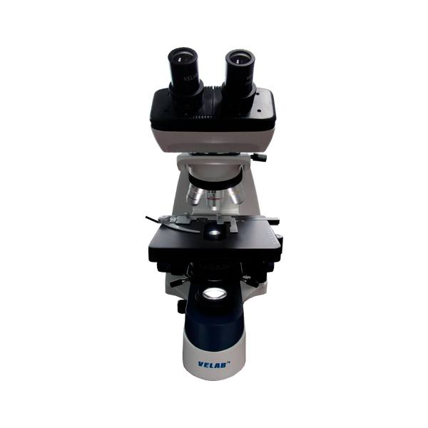 Microscopio binocular básico. VE-B3