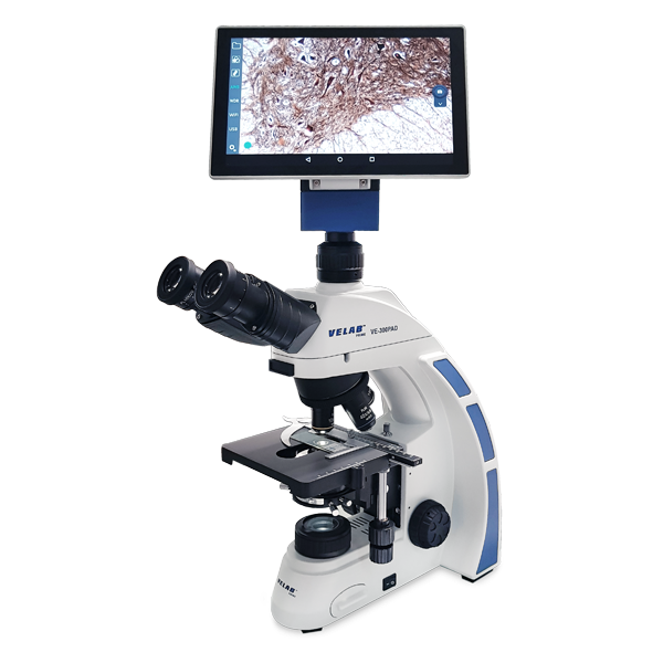 Microscopio con Tablet integrada. VE-300 PAD