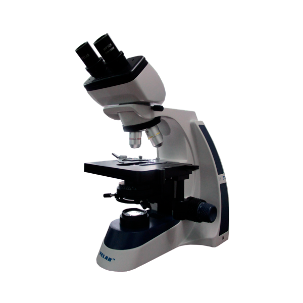 Microscopio binocular básico. VE-B3
