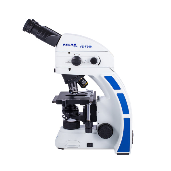 Microscopio de epifluorescencia. VE-F300
