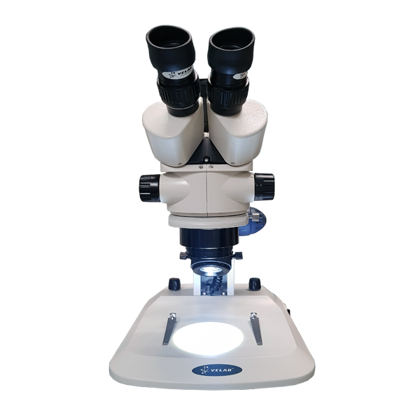 Microscopio estéreo zoom (Intermedio). VE-S5